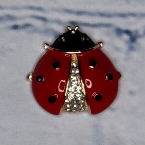 Red and Black Ladybug accent
